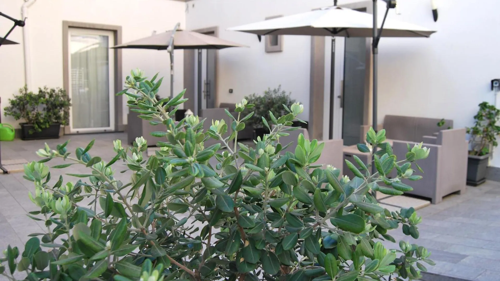 Rosato Suites 2 - Appartamento Moderno E Confortevole Con Spazio Esterno Tra Mondello E Il Centro Storico Palermo Apartment